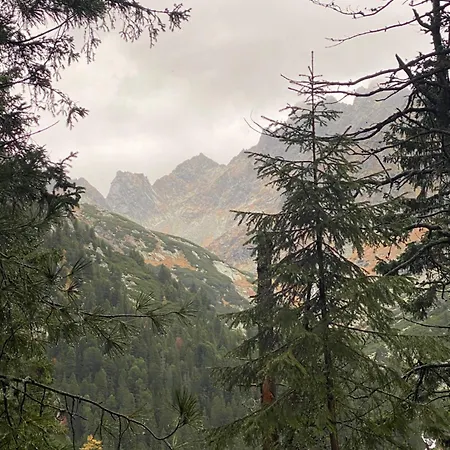Villa I Z Dostepem Do *