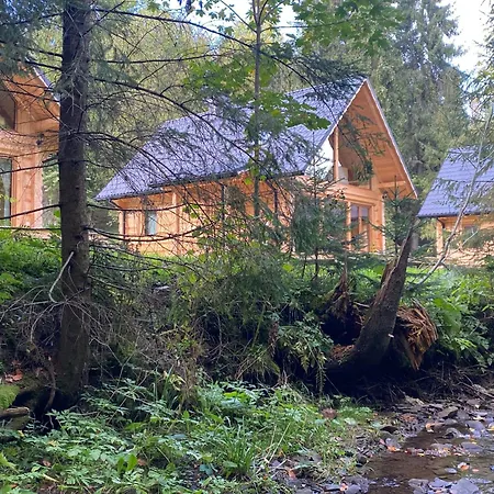I Z Dostepem Do Villa Lapsze Nizne