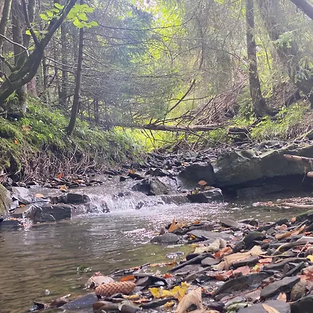 Noname I * Łapsze Niżne